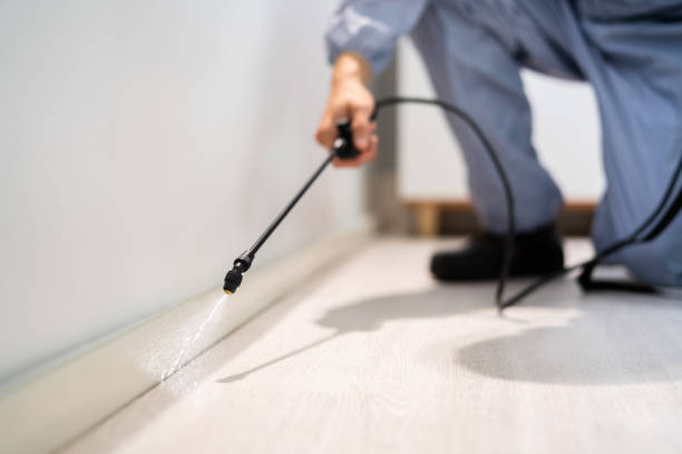 Bed Bug Pre-Treatment Preparation Assessment in Arlington